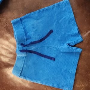 Maximus Rex 3t shorts